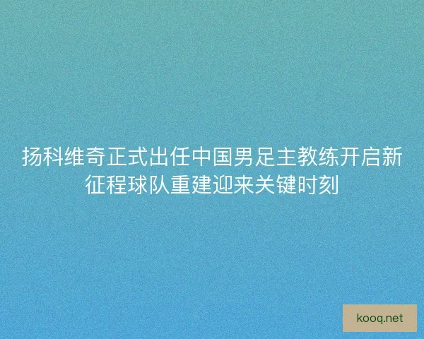 扬科维奇正式出任中国男足主教练开启新征程球队重建迎来关键时刻